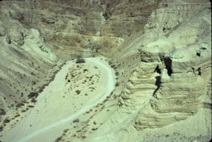 What are the Dead Sea Scrolls? Lawrence H. Schiffman, COJS.