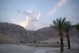Dead Sea Scrolls: A Short History, Hershel Shanks, <i>Biblical Archaeology Review</i> (33:03), May/Jun 2007.