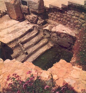 Temple Esplanade Mikveh