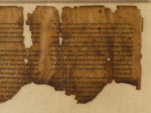 What kinds of texts are found in the Dead Sea Scrolls?