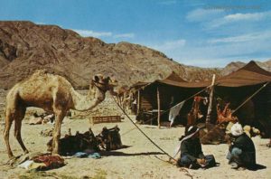 Bedouin Arab families