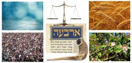 Tosefta Rosh ha-Shanah 1:1-14: More on the Fixing of the Calendar