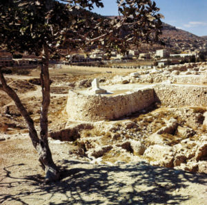 the-approach-to-the-temple-biblical-shechem