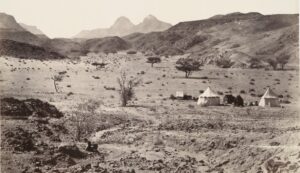 Wilderness of Sinai, 1862