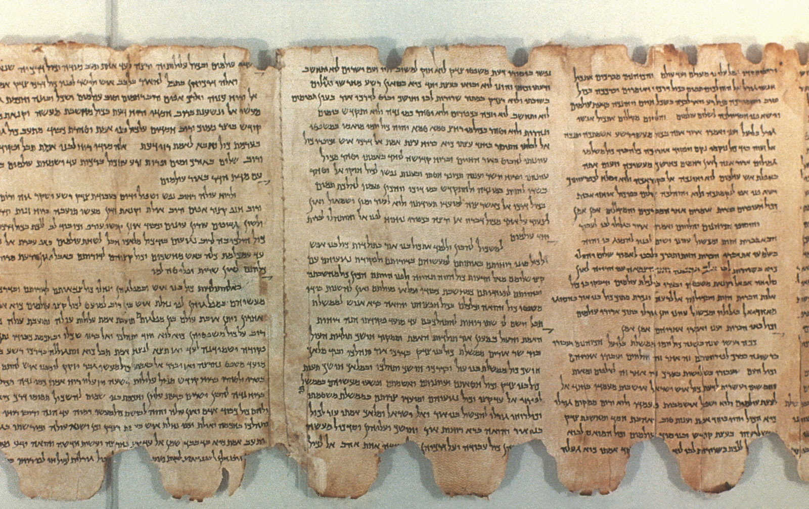 How the Dead Sea Scrolls authors rewrote the Bible, literally