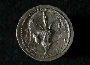 Bar Kokhba Coin