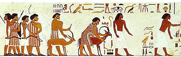 Pharaoh’s Workers- How the Israelites Lived in Egypt, Leonard and Barbara Lesko, <i>Biblical Archaeology Review</i> (25:1), Jan/Feb 1999.
