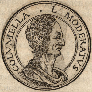 Portrait of Lucius Junius Moderatus Columella
