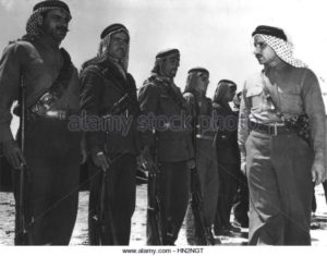 Fawzi Bey al Kaukji, Volunteer Army of the Arab Nations