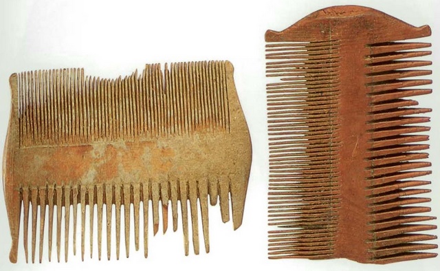 Wooden Combs from Qumran