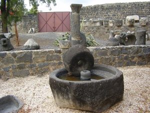 Olive Press, Capernaum