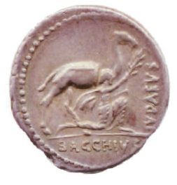 Aulus Plautius coin reverse.jpg